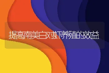 提高南美白对虾养殖的效益