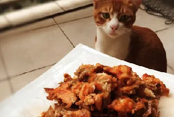 自制猫咪零食之香烤三文鱼皮