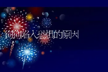 狗狗陷入恐惧的原因