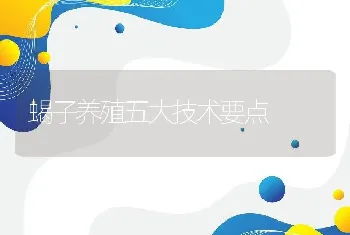 蝎子养殖五大技术要点