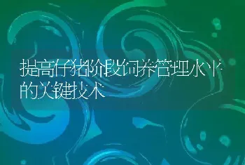 提高仔猪阶段饲养管理水平的关键技术