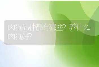 肉狗品种都有哪些？养什么肉狗好？