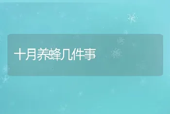 十月养蜂几件事