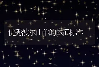 肉牛高效养殖管理技术要点