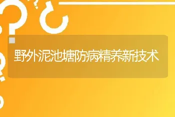 野外泥池塘防病精养新技术