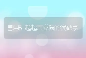 兽用B超超声成像的优缺点