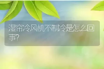 湿帘冷风机不制冷是怎么回事？