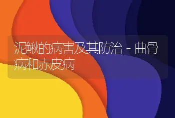 泥鳅的病害及其防治－曲骨病和赤皮病