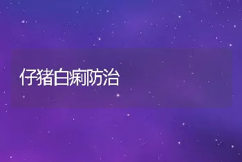 仔猪白痢防治