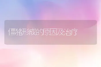 僵猪形成的原因及治疗