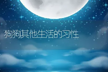 狗狗其他生活的习性