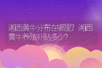 湘西黄牛分布在哪里?湘西黄牛养殖补贴多少？