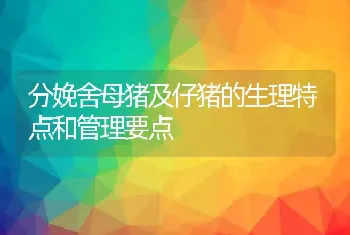 分娩舍母猪及仔猪的生理特点和管理要点