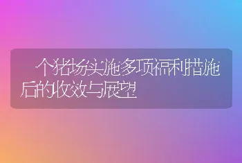 一个猪场实施多项福利措施后的收效与展望