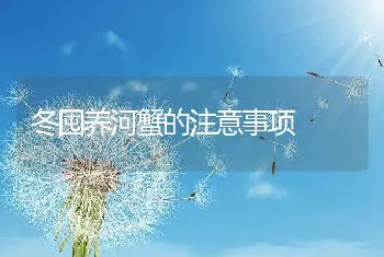 冬囤养河蟹的注意事项