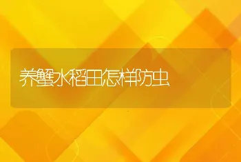 养蟹水稻田怎样防虫