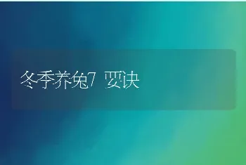 肉兔高效饲料的配方