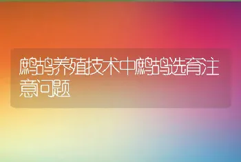 鹧鸪养殖技术中鹧鸪选育注意问题