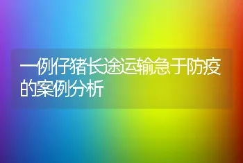 一例仔猪长途运输急于防疫的案例分析