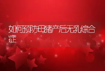 如何预防母猪产后无乳综合症