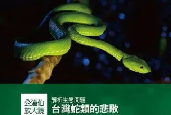 台湾公道伯王金平说：任何生物都有存在意义