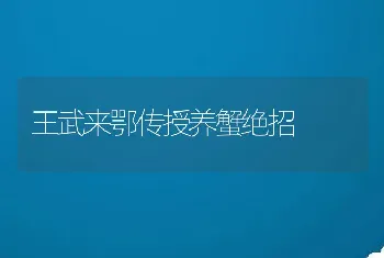 王武来鄂传授养蟹绝招