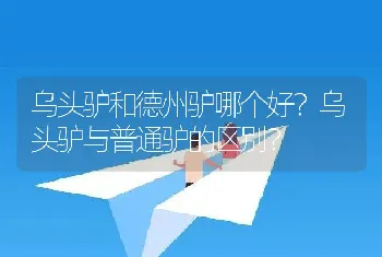 乌头驴和德州驴哪个好？乌头驴与普通驴的区别？