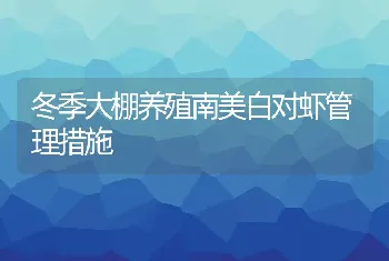 冬季大棚养殖南美白对虾管理措施