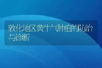 敦化地区黄牛气肿疽的防治与诊断