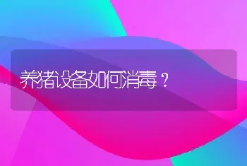 养猪设备如何消毒？