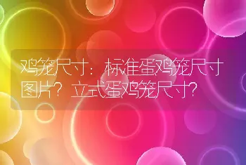 鸡笼尺寸：标准蛋鸡笼尺寸图片？立式蛋鸡笼尺寸？