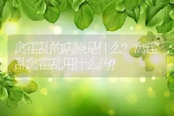 禽霍乱的病原是什么？禽霍乱禽霍乱用什么药？