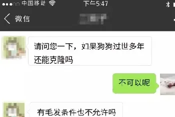 宠物尸体被冷冻，尸身不腐就能克隆？