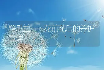 蟹爪兰――花前花后的养护管理