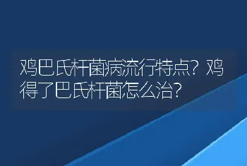 鸡巴氏杆菌病流行特点？鸡得了巴氏杆菌怎么治？