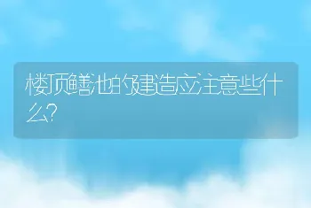 楼顶鳝池的建造应注意些什么？