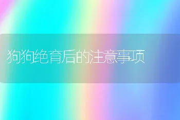 狗狗绝育后的注意事项