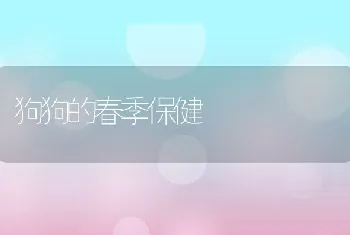 狗狗的春季保健