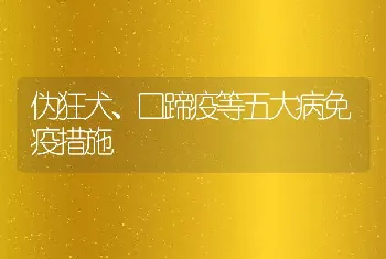 伪狂犬、口蹄疫等五大病免疫措施