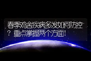 春季鸡舍疾病多发如何防控?重点掌握两个方面!