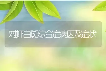 对虾白斑综合症病因及症状