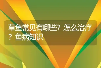 草鱼常见有哪些？怎么治疗？鱼病知识