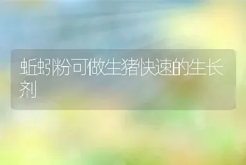 蚯蚓粉可做生猪快速的生长剂