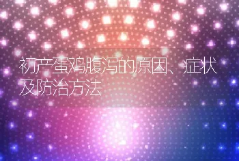 初产蛋鸡腹泻的原因、症状及防治方法