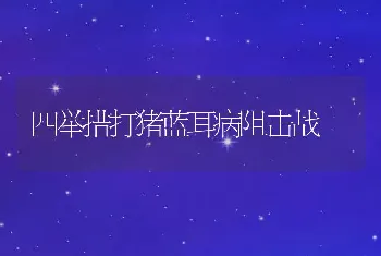 母犬异常发情的主要现象