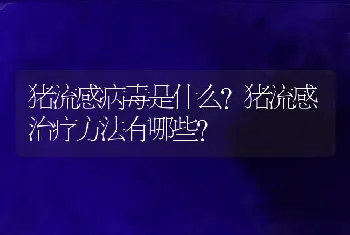 猪流感病毒是什么？猪流感治疗方法有哪些？