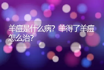 羊痘是什么病？羊得了羊痘怎么治？