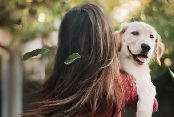 狗狗的分离训练及如何避免分离焦虑症