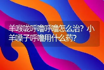 羊喉咙呼噜呼噜怎么治？小羊嗓子呼噜用什么药？