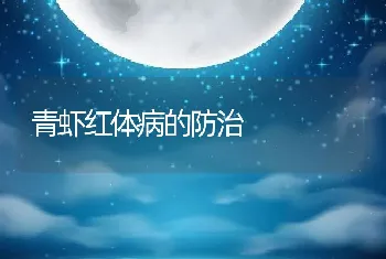 青虾红体病的防治